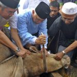 Lupa Membaca Basmalah Saat Menyembelih Hewan Qurban