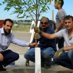 Komunitas Muslim Alberta Tanam 1000 Pohon Pertama di Luar Masjid